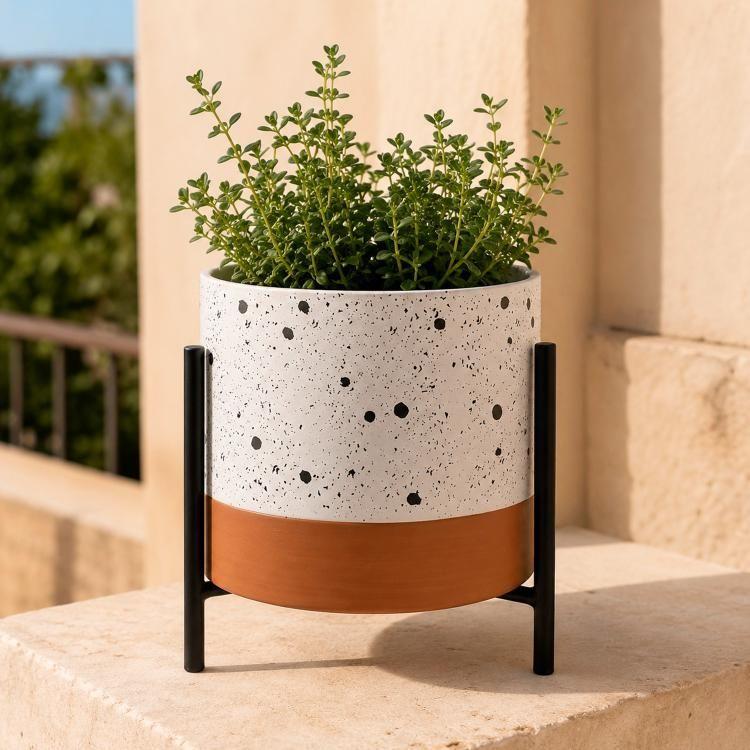 Maceta Decorativa Belice Mediana Soporte-0