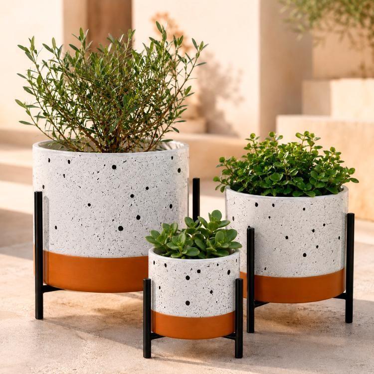 Maceta Decorativa Belice Mediana Soporte-1
