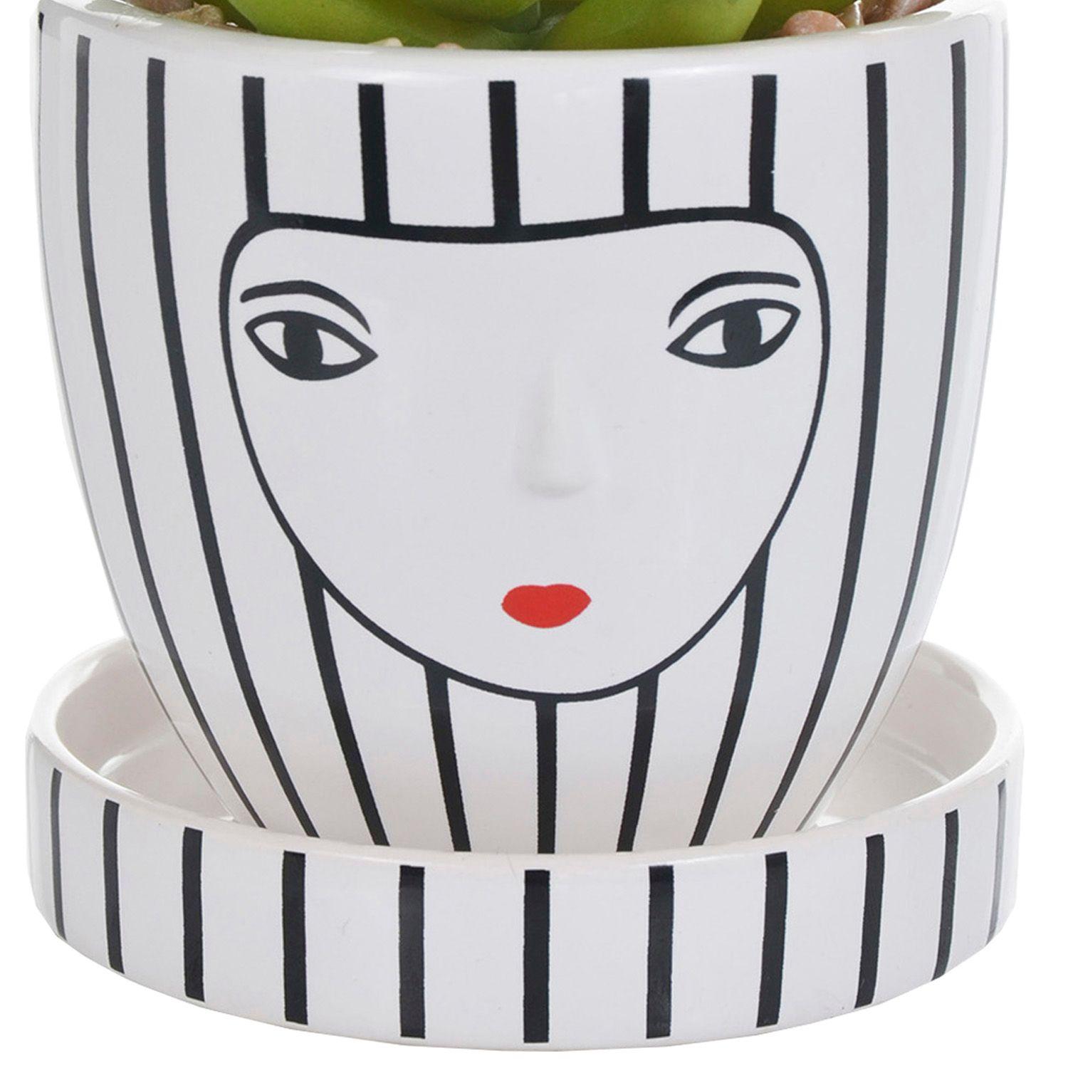 Suculenta Decorativa Fátima-1