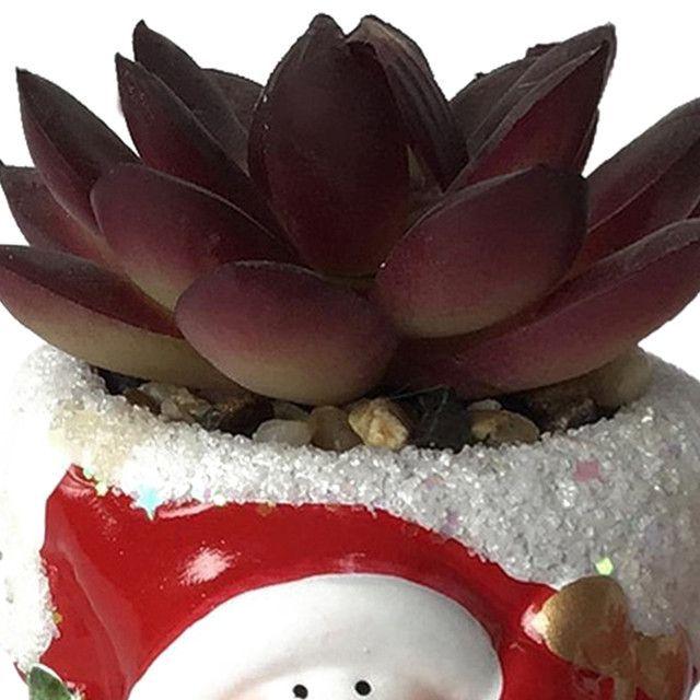 Suculenta Roja Figura Hombre Nieve-2