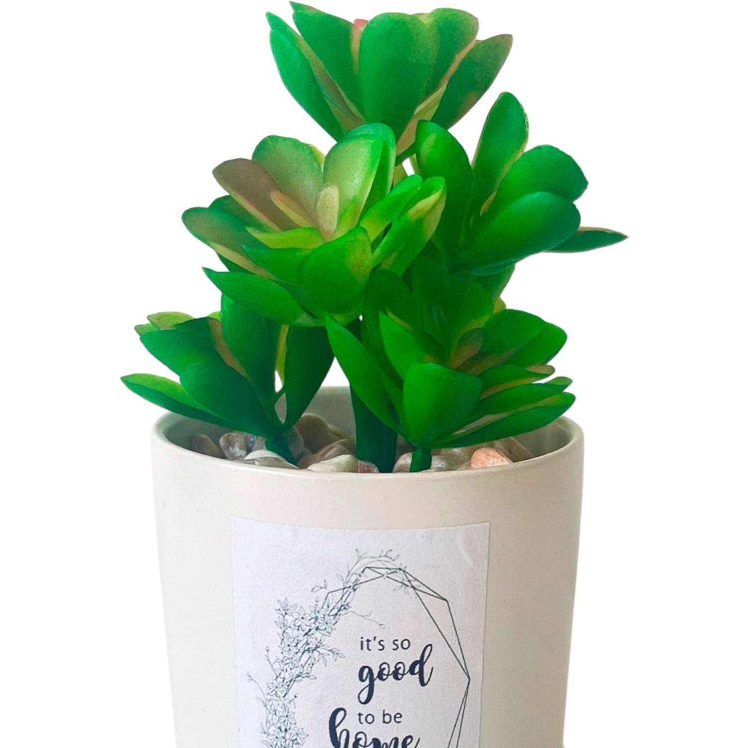 Planta Decorativa Good To Be Home Maceta Blanca-2