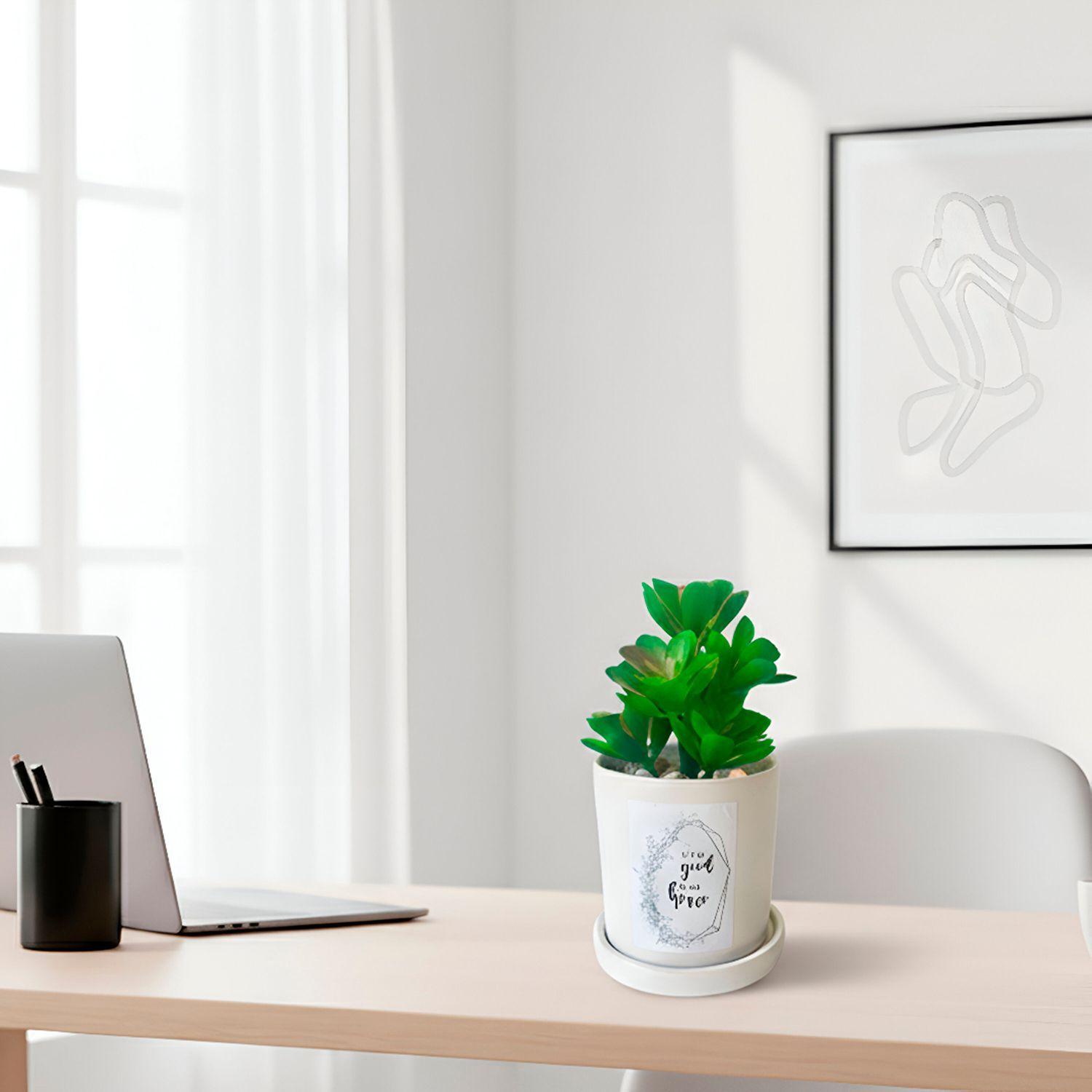 Planta Decorativa Good To Be Home Maceta Blanca-3