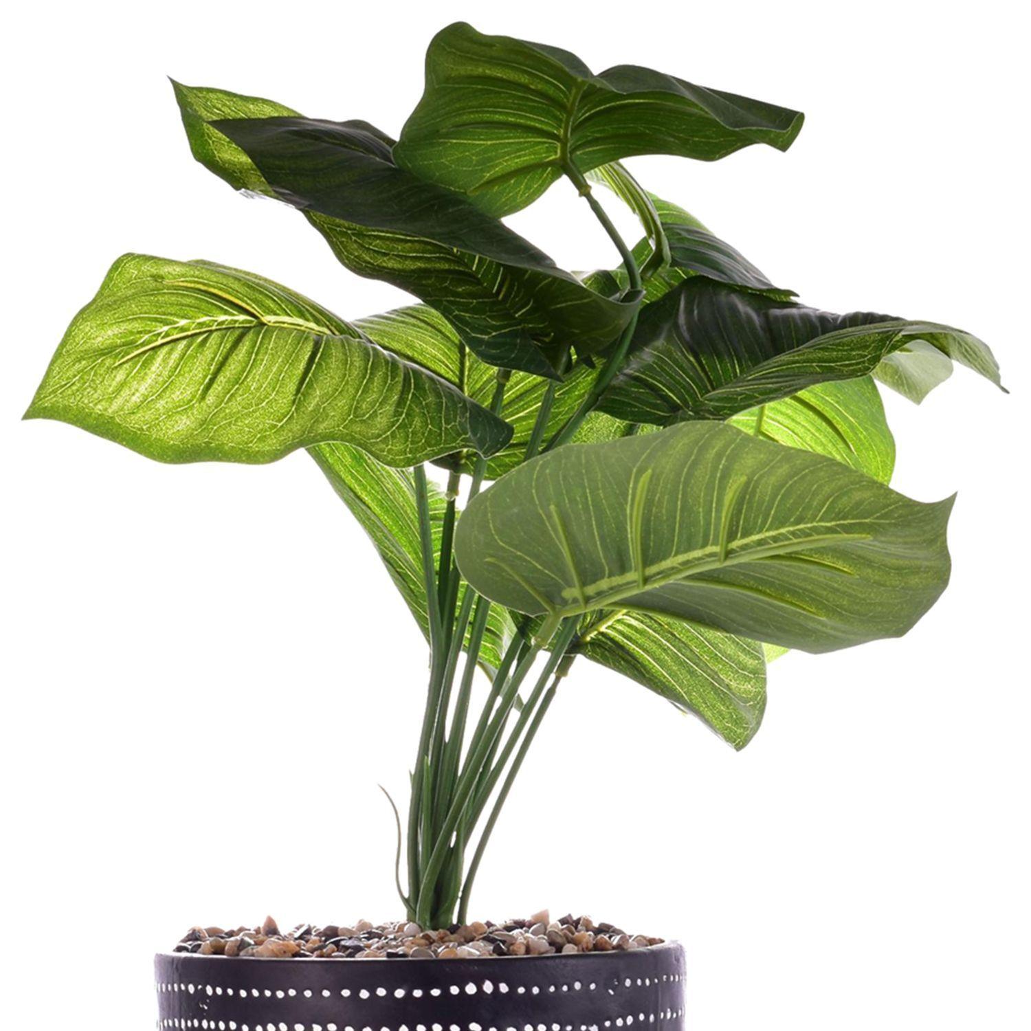Planta Artificial Dieffenbachia Maceta Congo-2