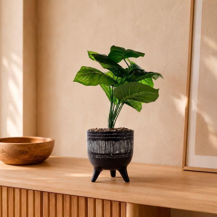 Planta Artificial Dieffenbachia Maceta Congo-0