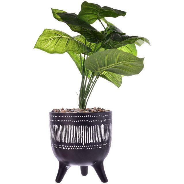 Planta Artificial Dieffenbachia Maceta Congo-3
