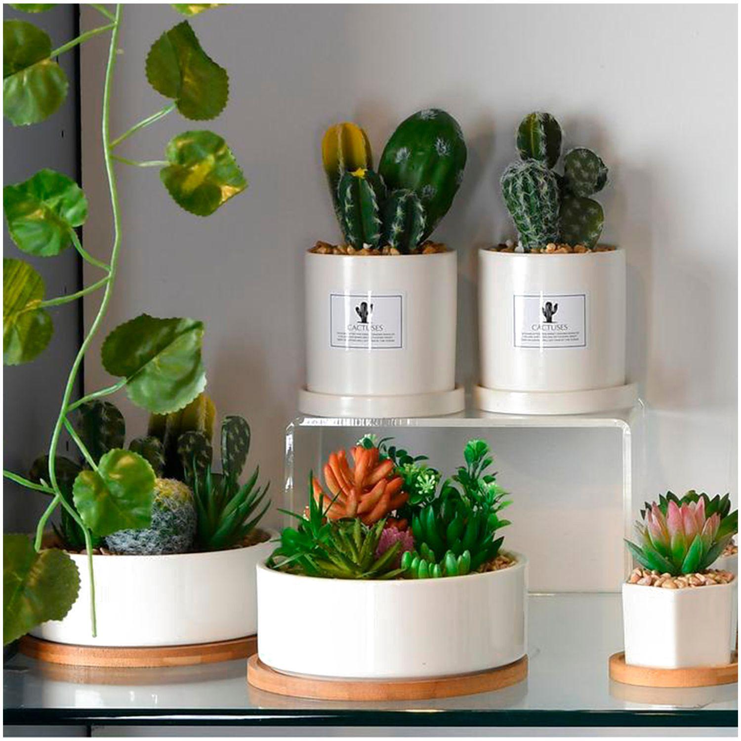 Planta Decorativa Suculentas Multico Maceta Blanca-2