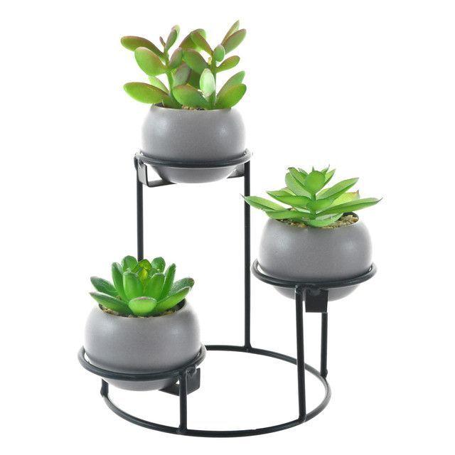 Suculentas Decorativas Bolas Tripode Gris-0