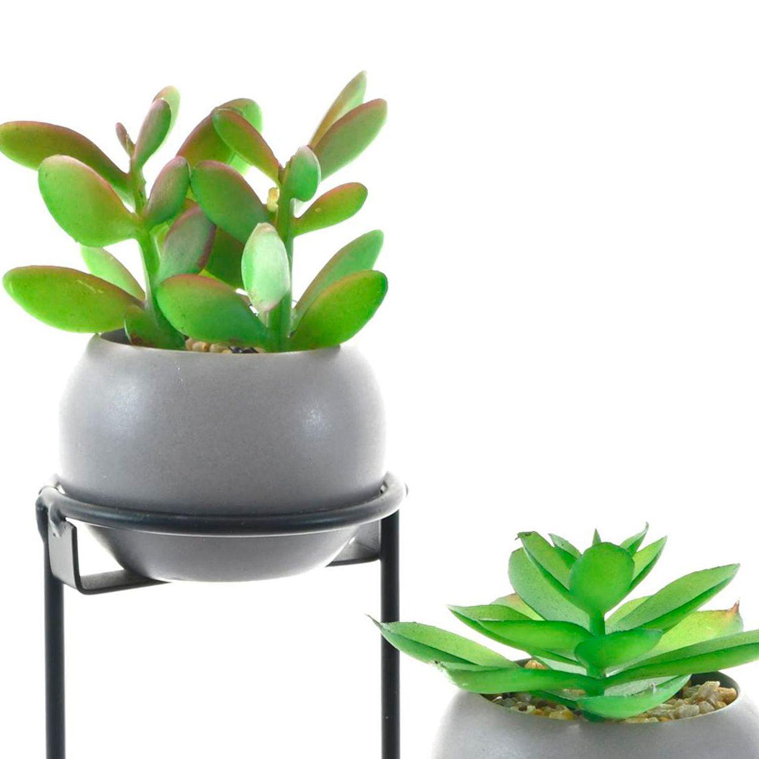 Suculentas Decorativas Bolas Tripode Gris-2