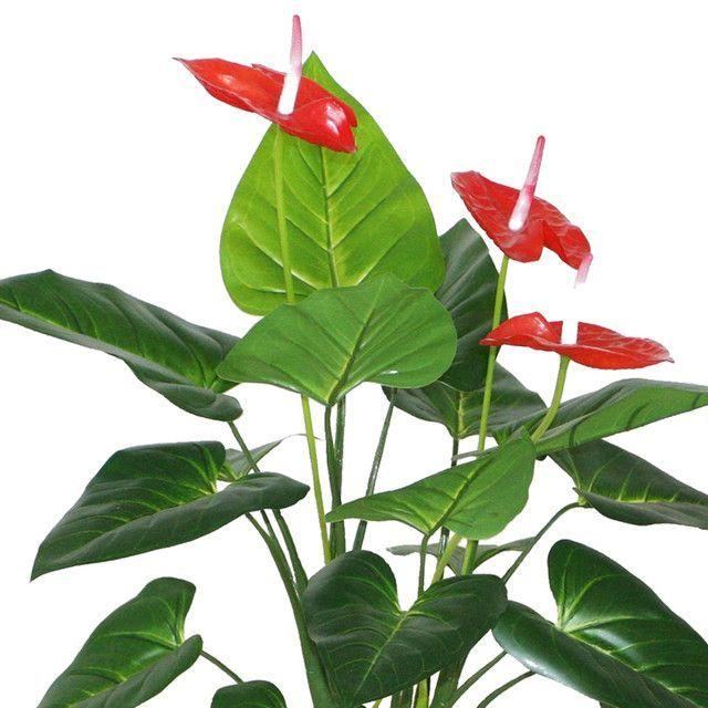 Planta Decorativa Anthurium 80 Cms.-1