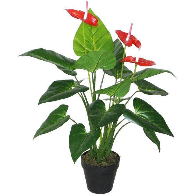 Planta Decorativa Anthurium 80 Cms.-0