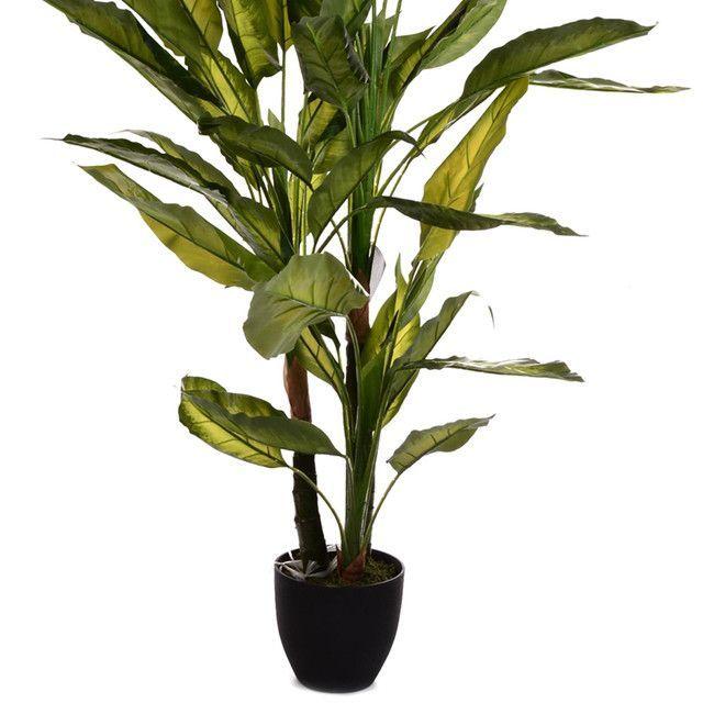 Planta Decorativa Aglaonema Variagado 125 Cms.-2