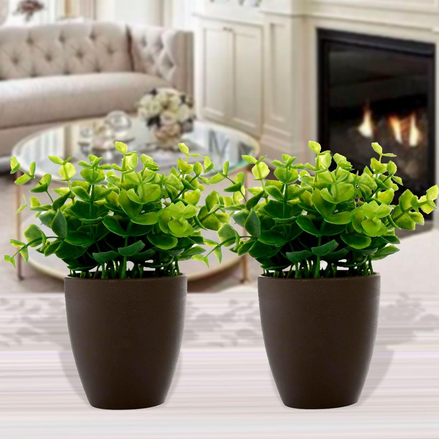 Set de Plantas Decorativa Artificial Maceta Cafe-3