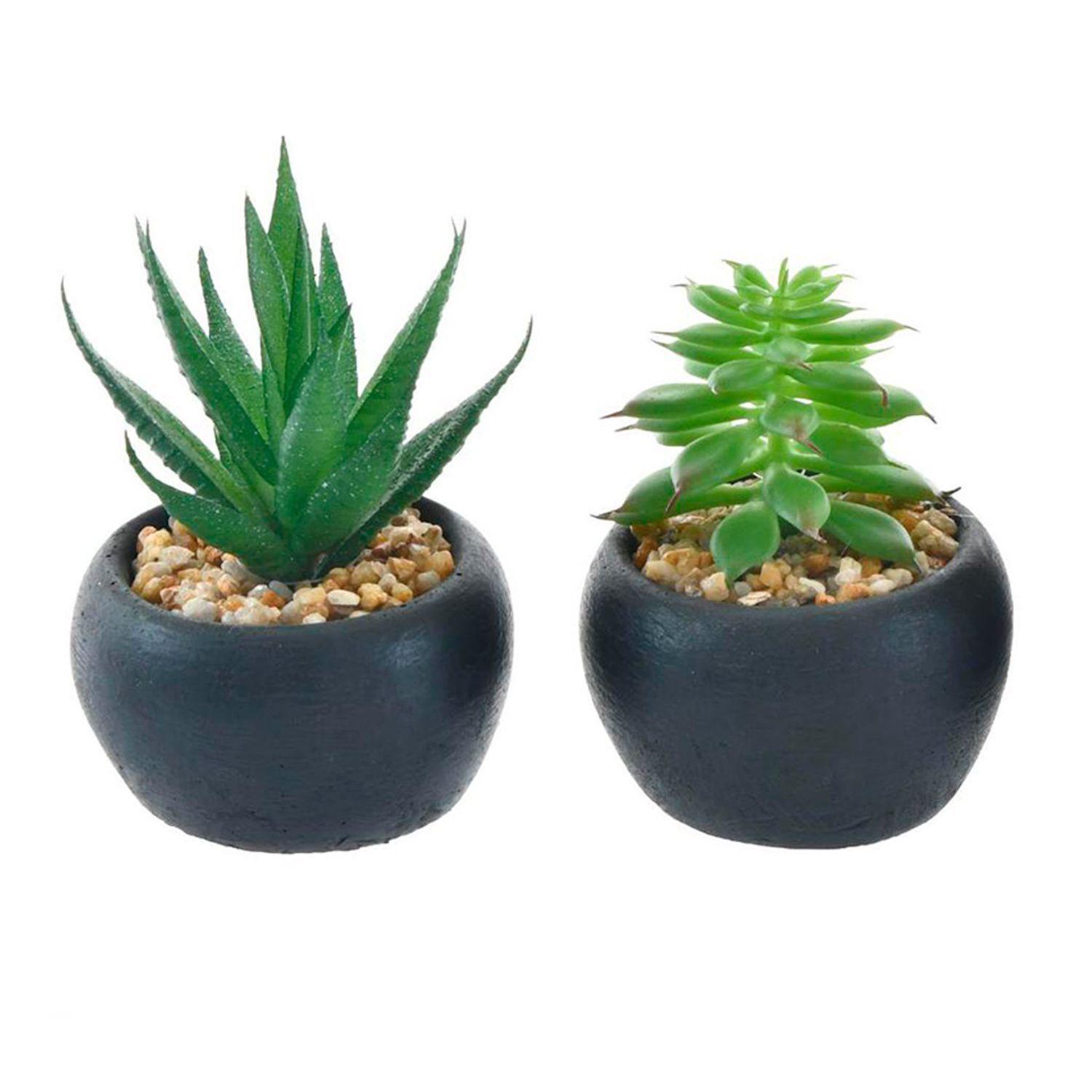 Set Suculentas Decorativas Bolas Negro 4 Pzas-1