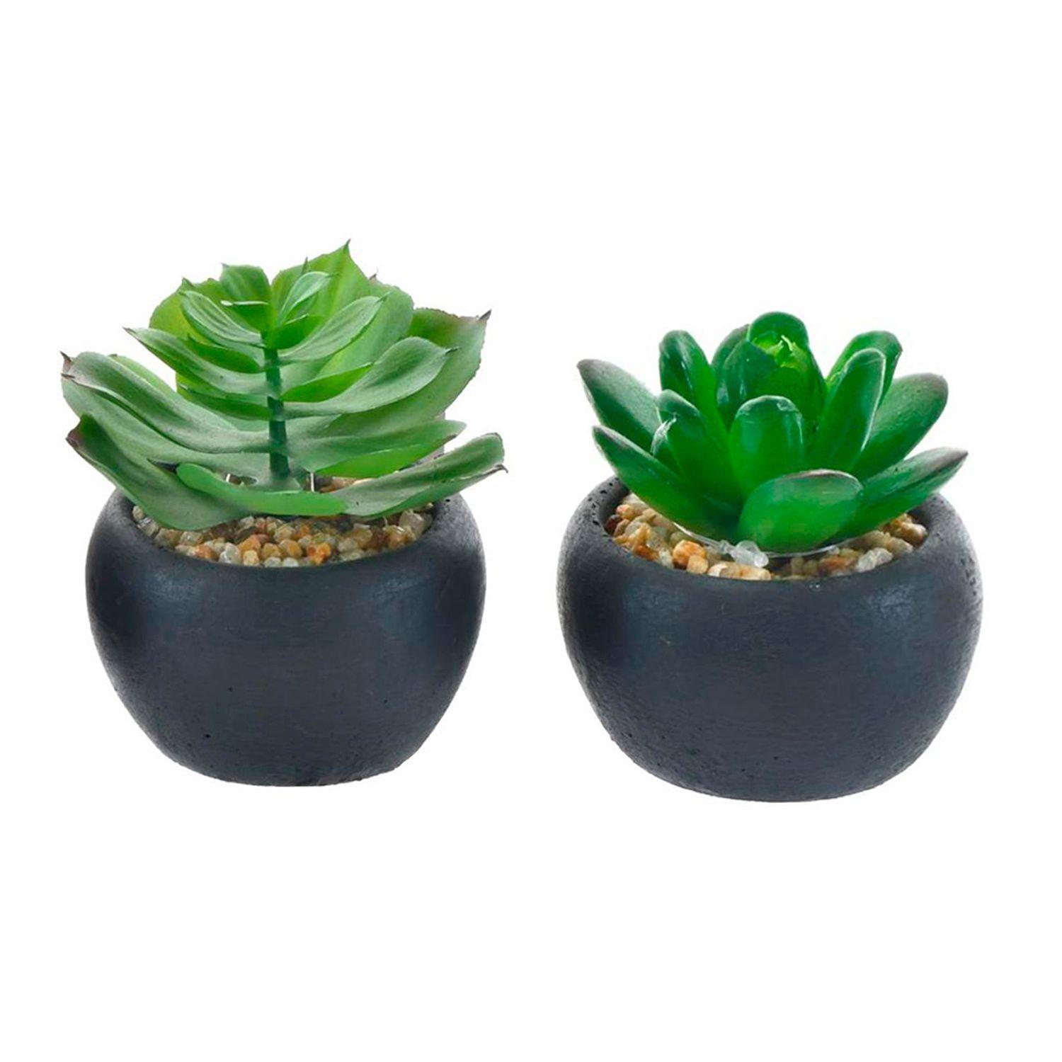 Set Suculentas Decorativas Bolas Negro 4 Pzas-2