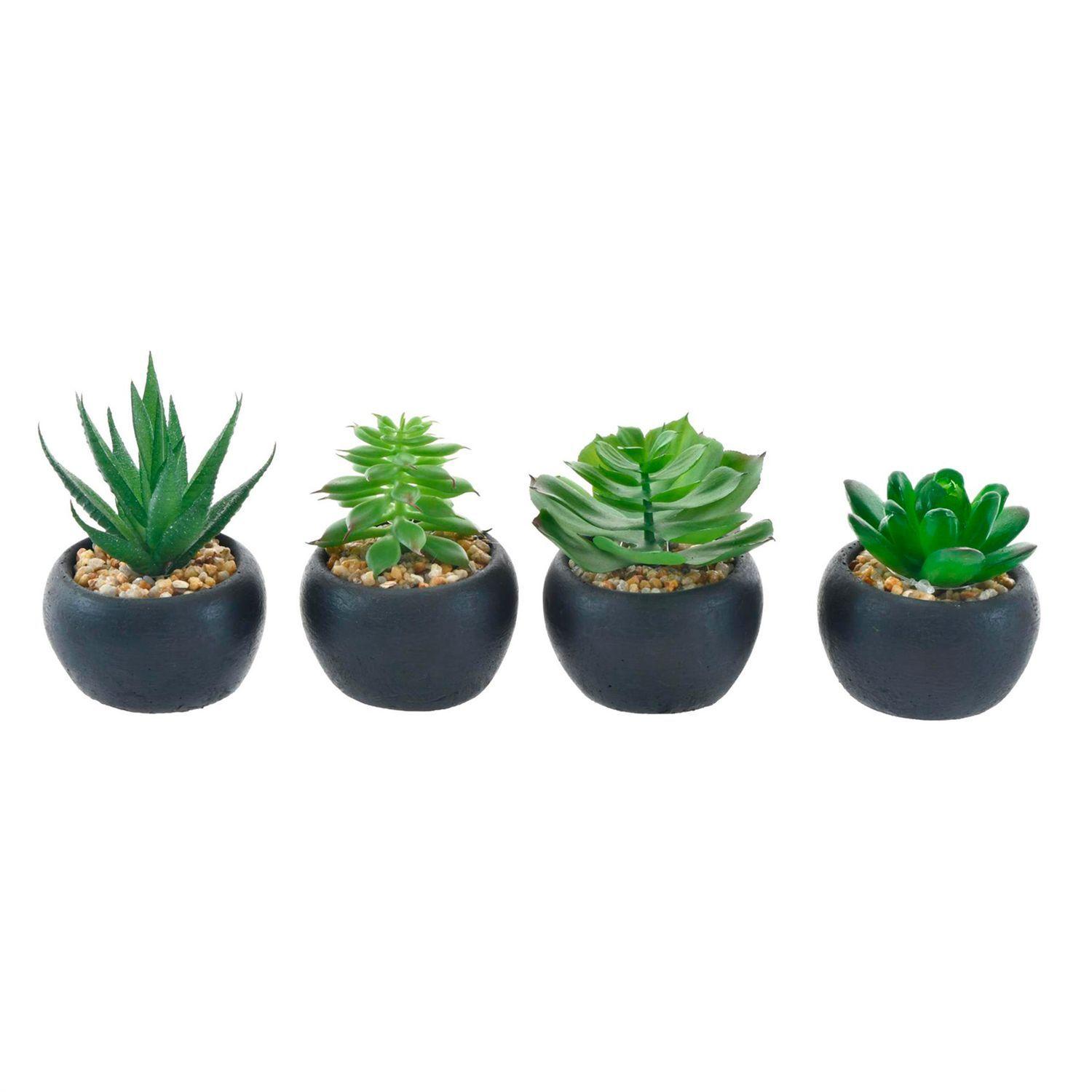 Set Suculentas Decorativas Bolas Negro 4 Pzas-0