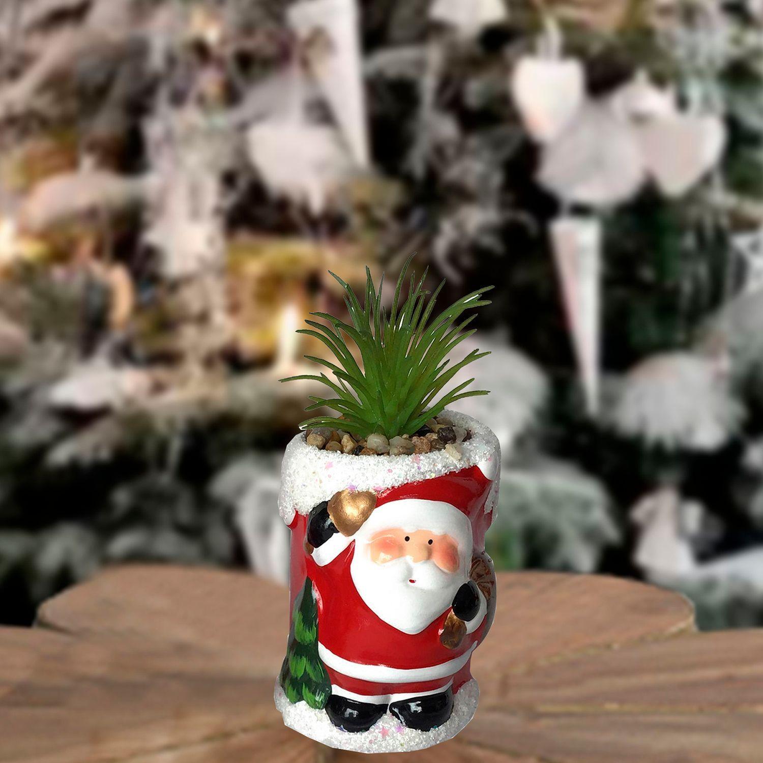 Suculenta Verde Figura Pascuero-3