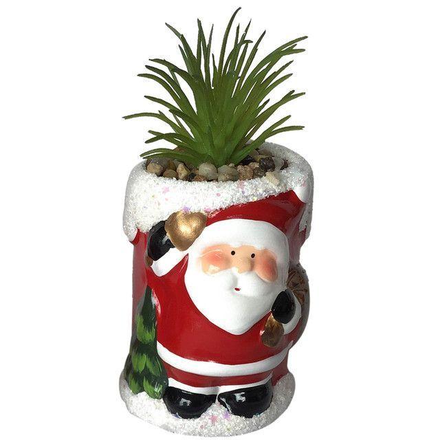 Suculenta Verde Figura Pascuero-0