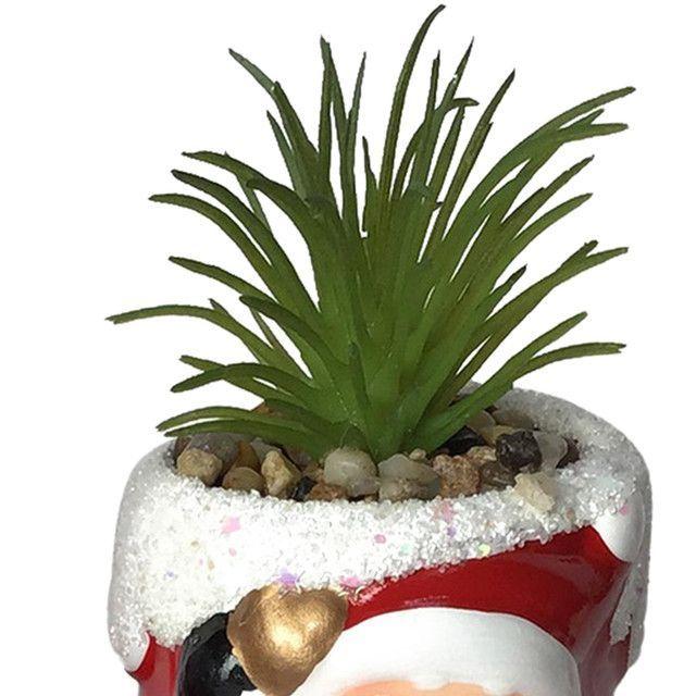 Suculenta Verde Figura Pascuero-1