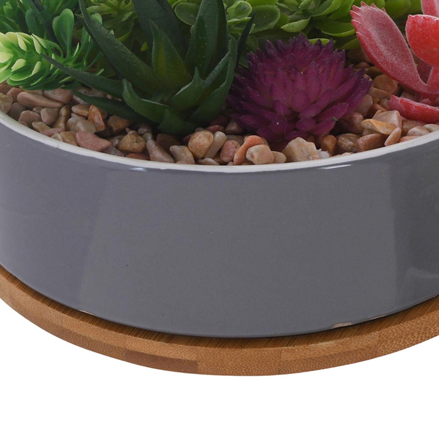 Planta Decorativa Suculentas Maceta Gris-1