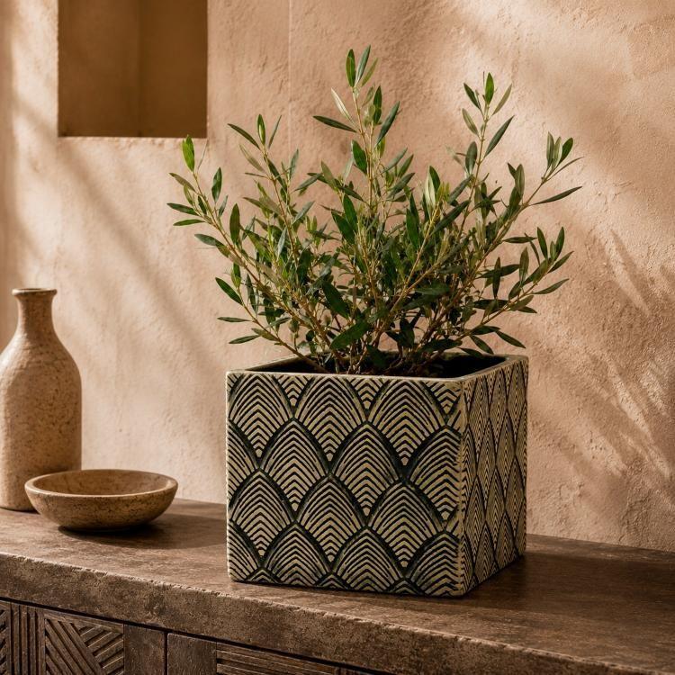 Maceta Decorativa Malaui Recta-0