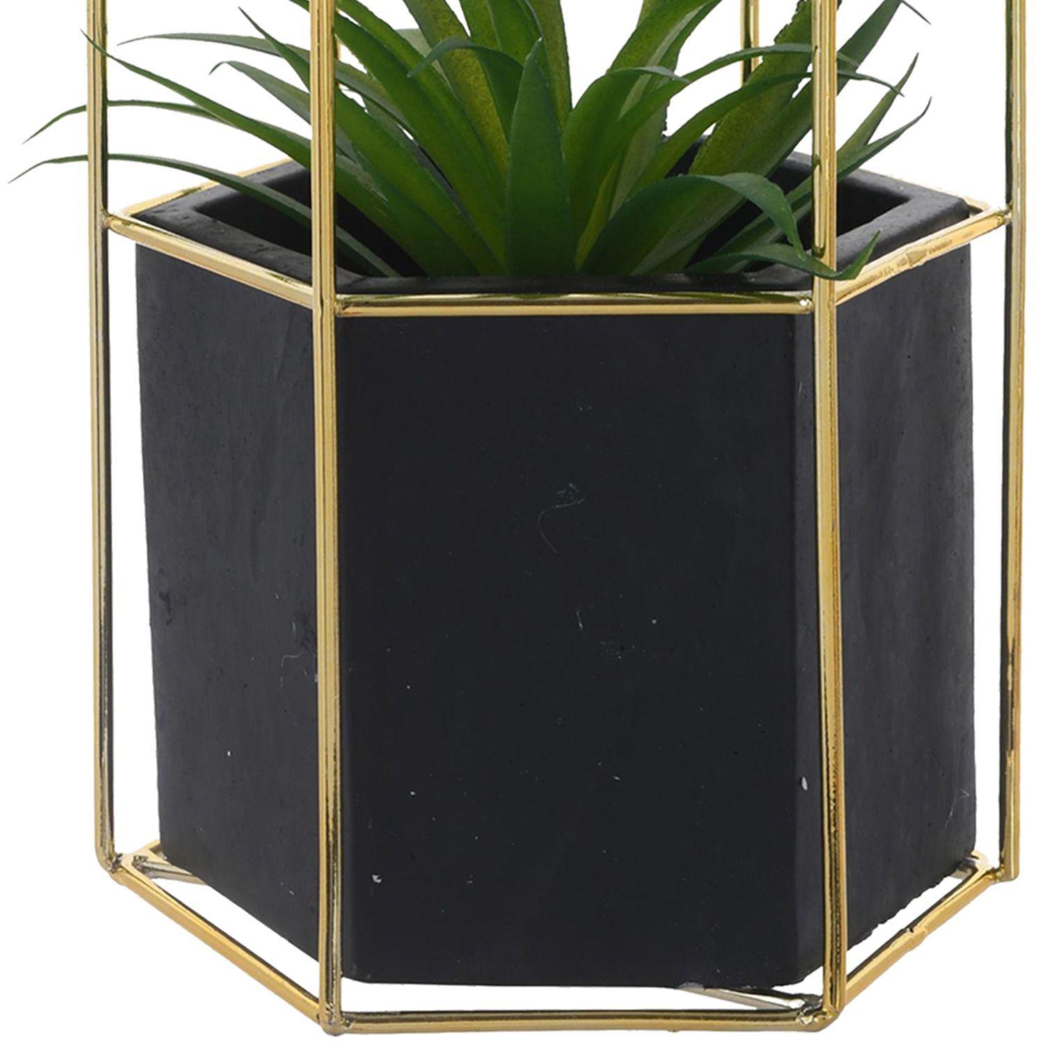 Planta Decorativa Ágave Maceta Hexagonal-2