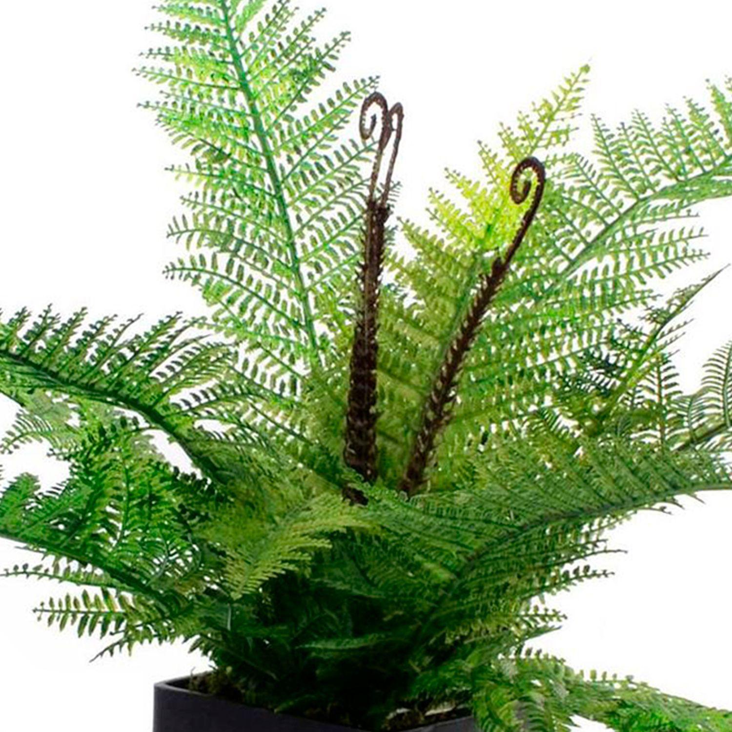 Helecho Decorativo en Pote Negro-2