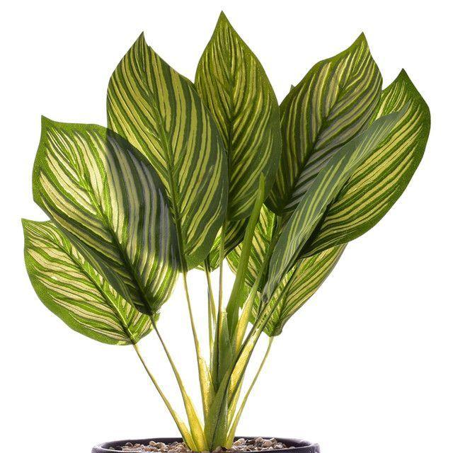 Planta Artificial Dieffenbachia Maceta Mali-2