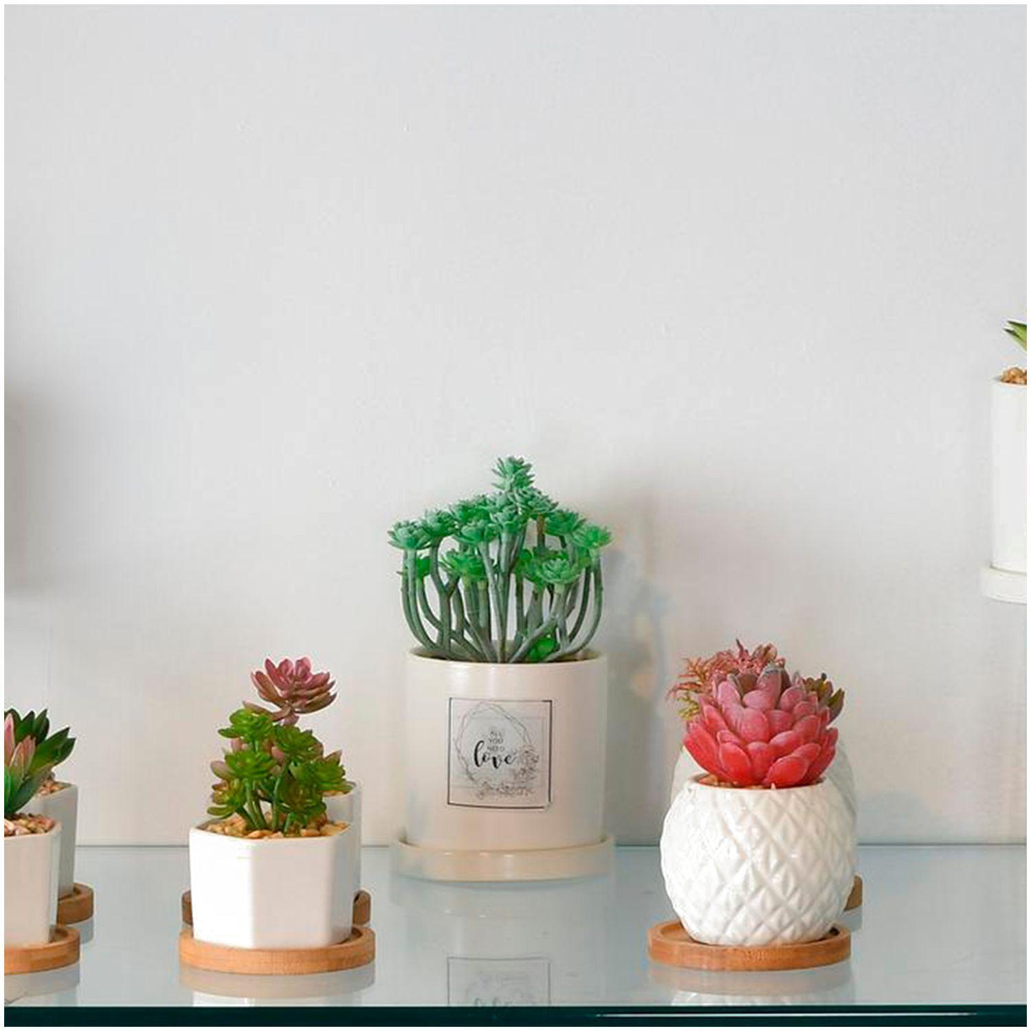 Planta Decorativa All You Need Love Maceta Blanca-2