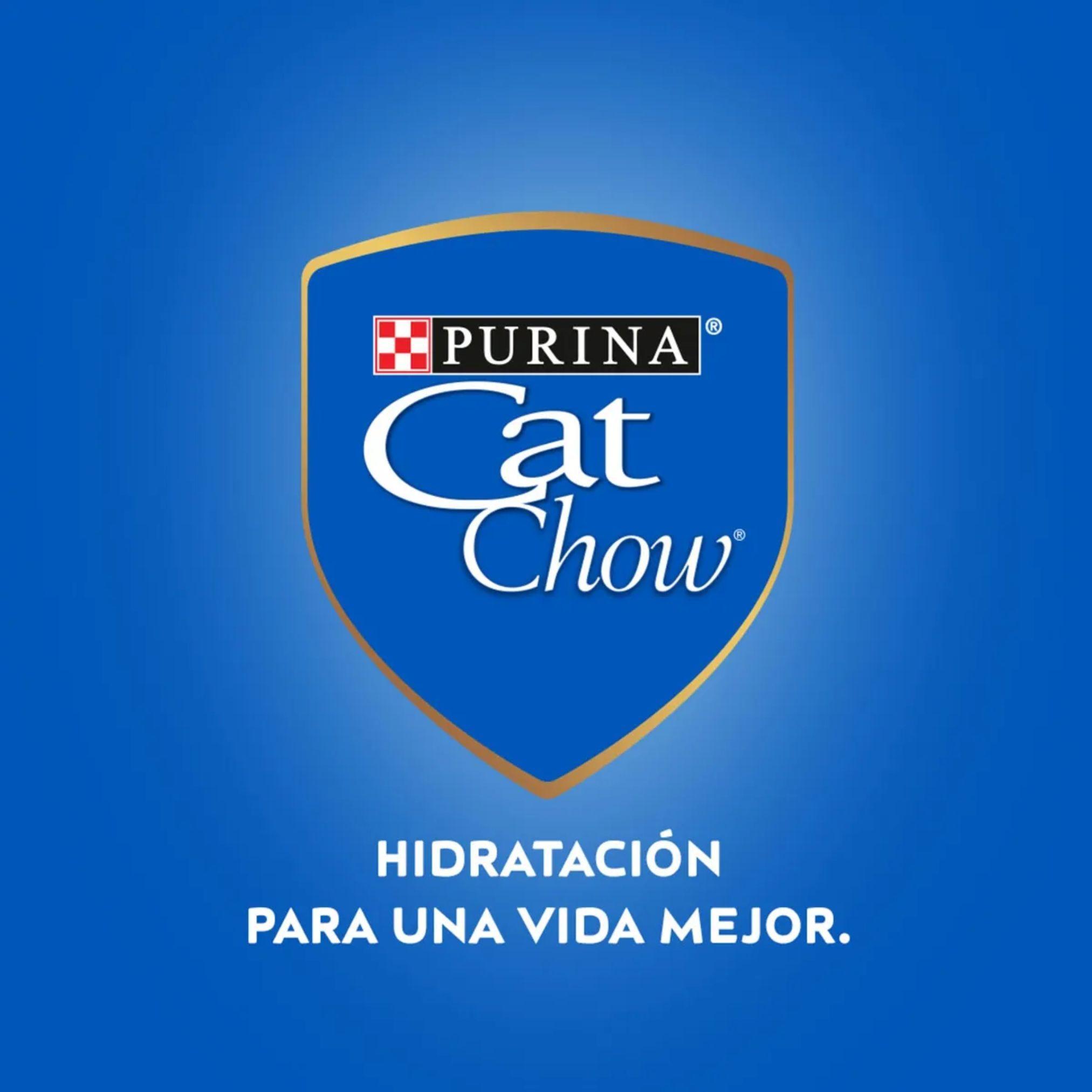 Sachet Cat Chow Adulto Pollo 15 un.-7