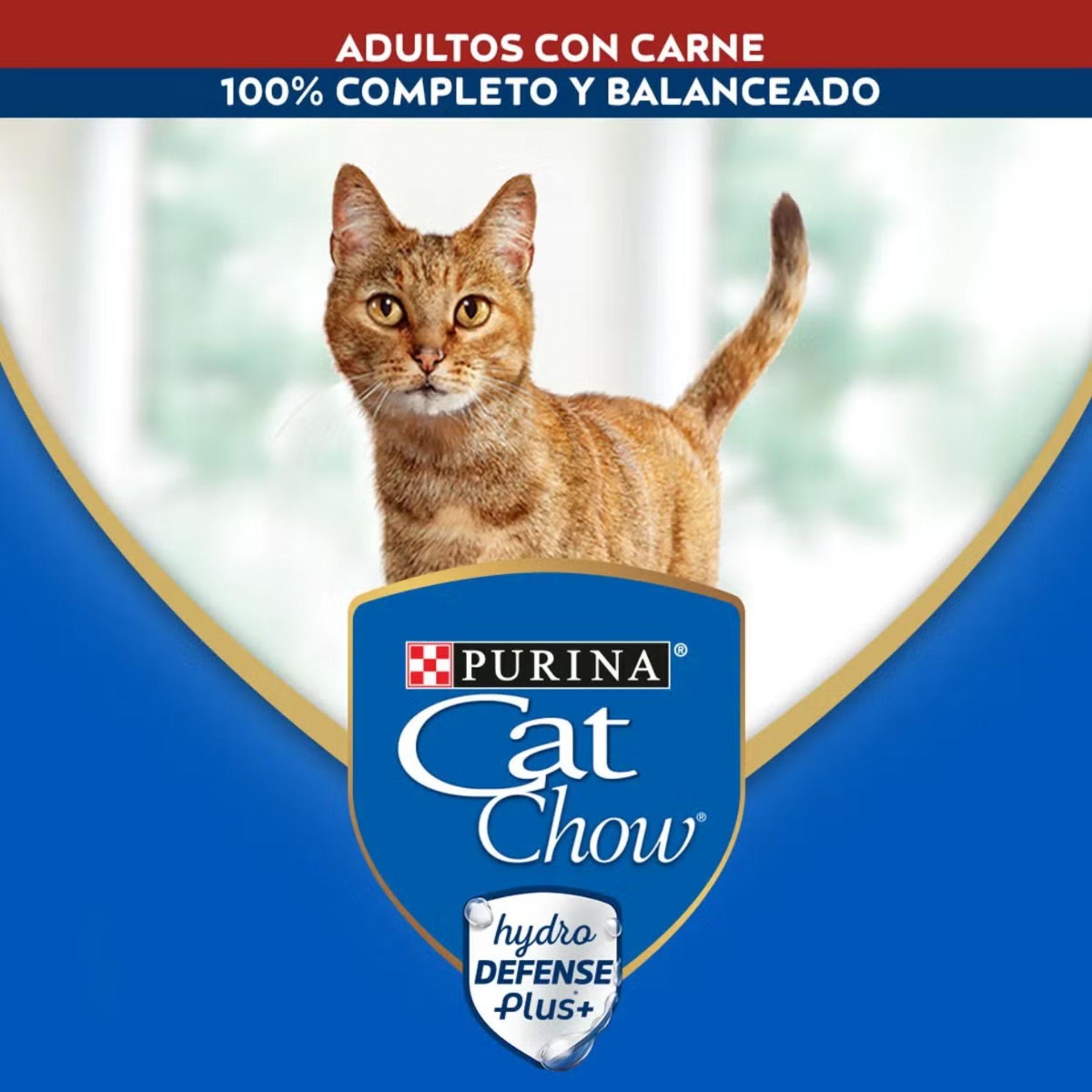 Sachet Cat Chow Adulto Carne 15 un. -2