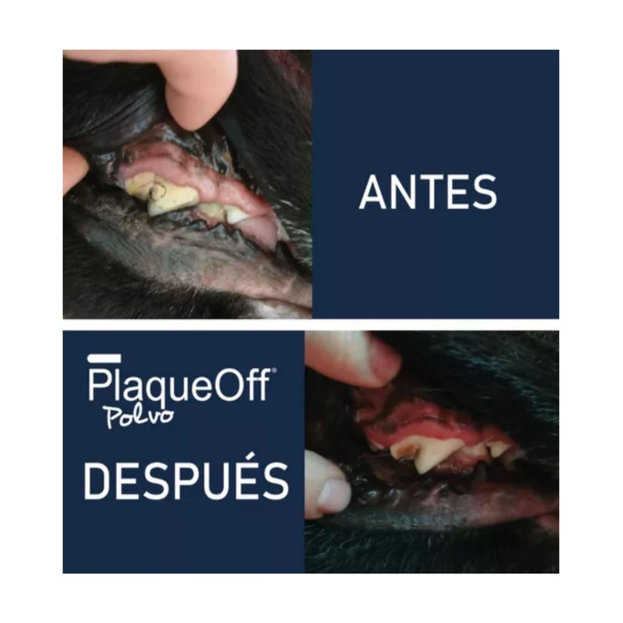 Polvo Cuidado Dental Perros 40 Grs. - Plaque Off-5