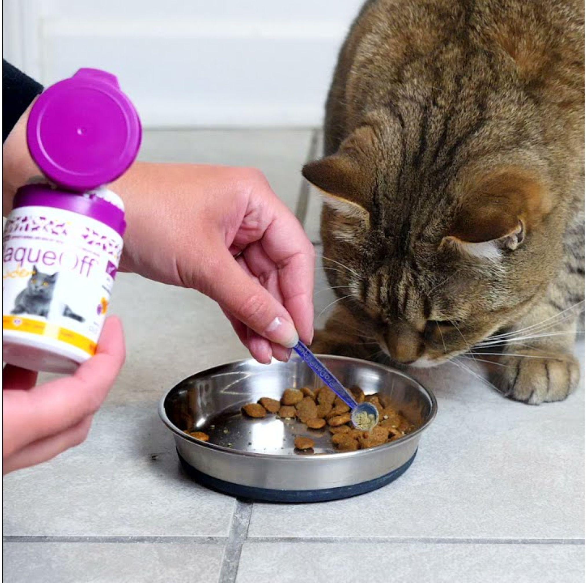 Polvo Cuidado Dental Gatos 40 Grs. - Plaque Off-4