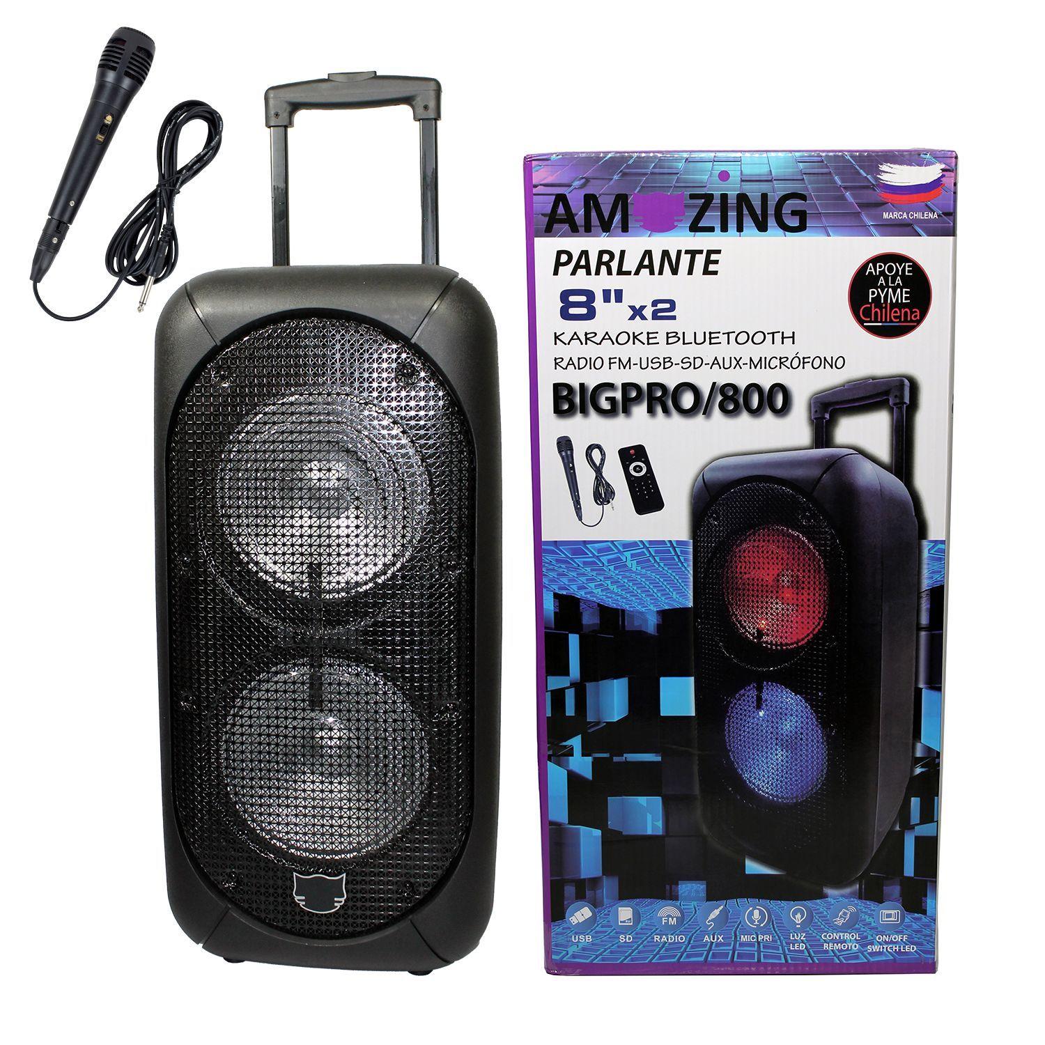 Parlante Karaoke Bluetooth Recargable Big-Pro 800 -2