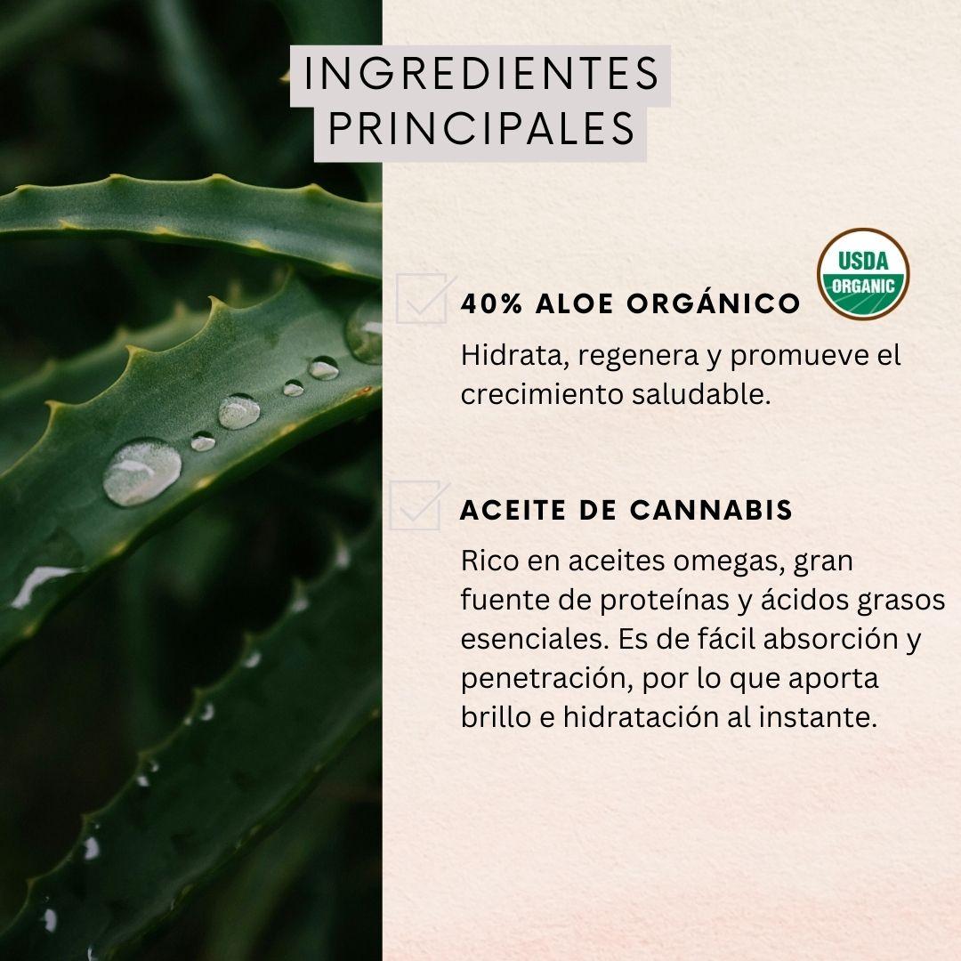 Acondicionador Naturaloe Aceite de Cañamo 350ml-2