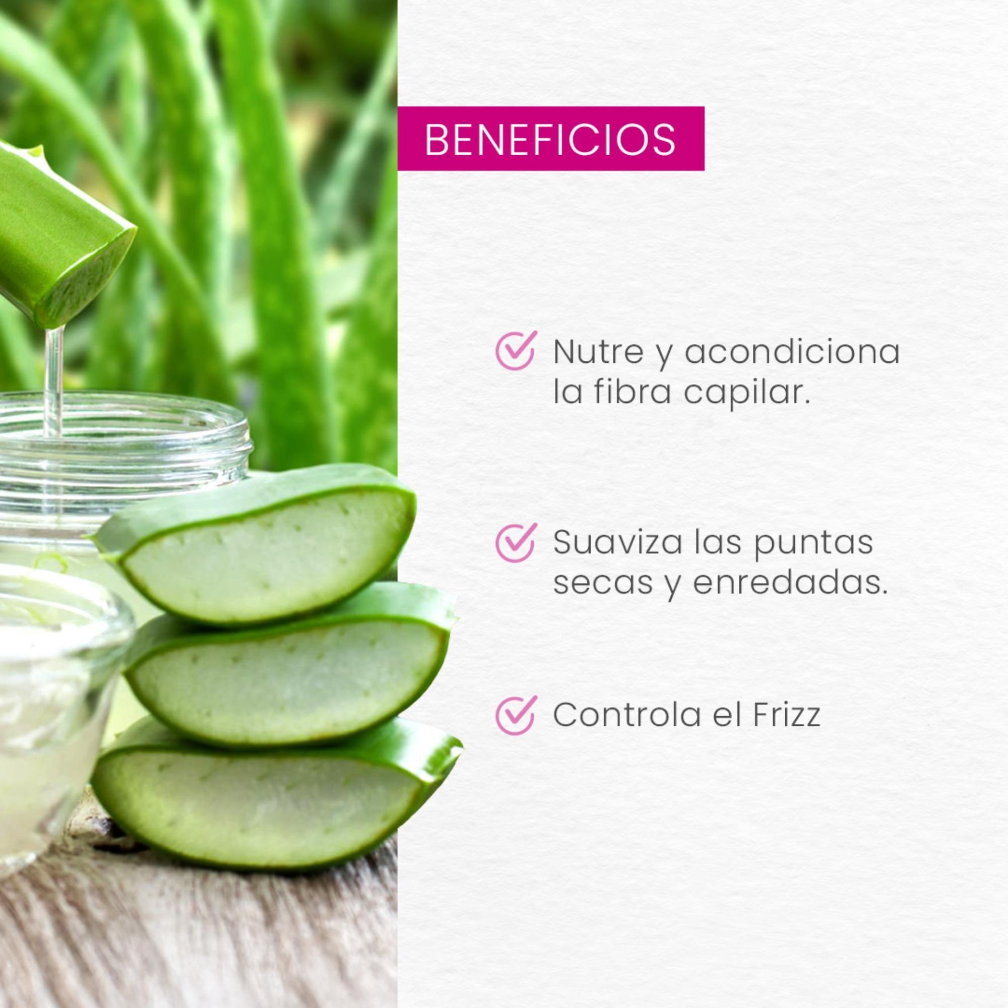 Naturaloe Shampoo Rulos Definidos 350 Ml-3