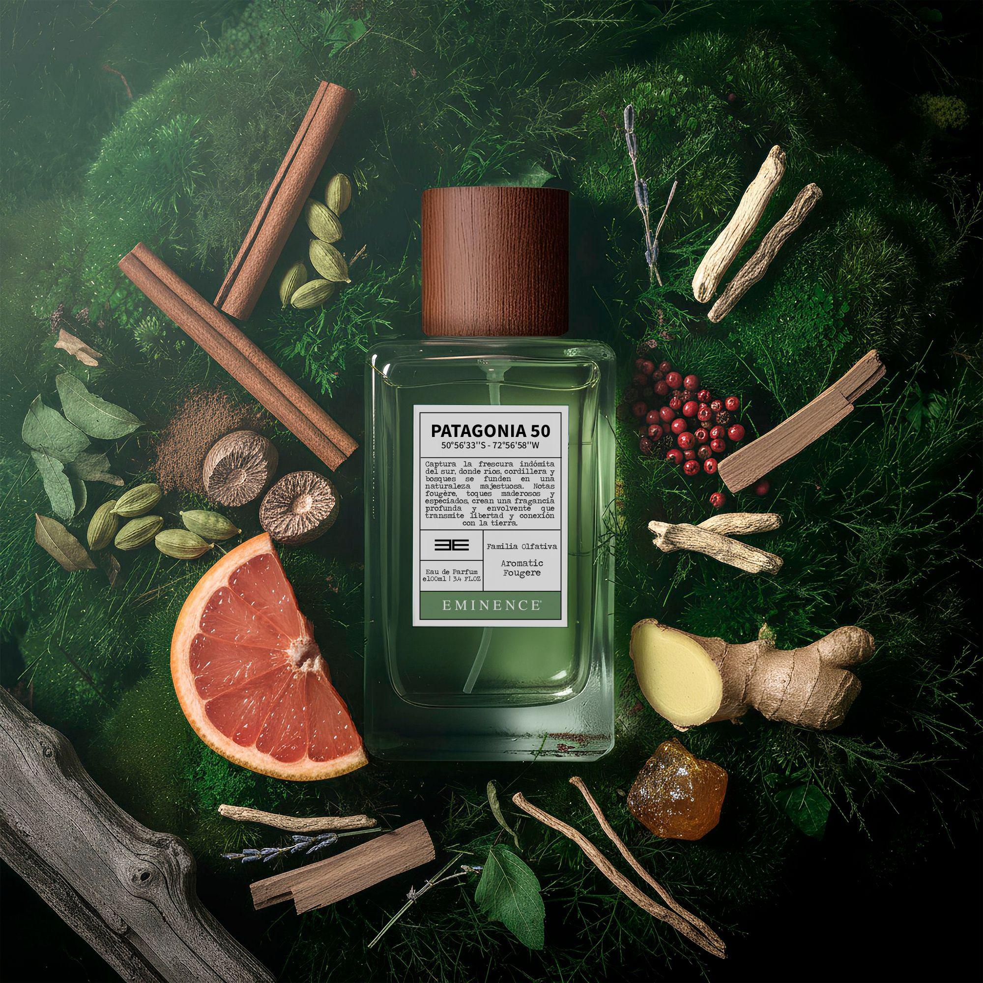 Emc Latitud Patagonia 50 Edp100/L-2