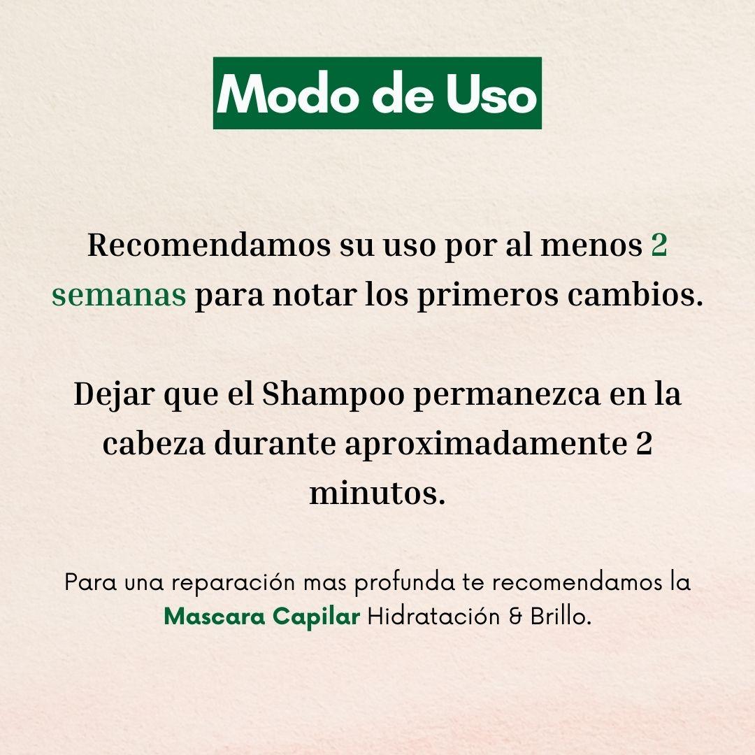 Shampoo Naturaloe Hidratación Y Brillo 350ml-4