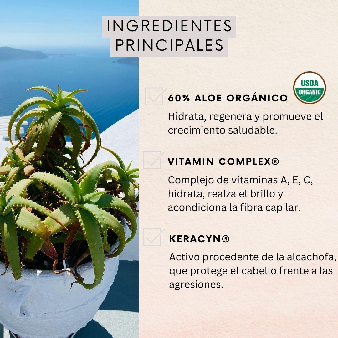 Shampoo Naturaloe Hidratación Y Brillo 350ml-3