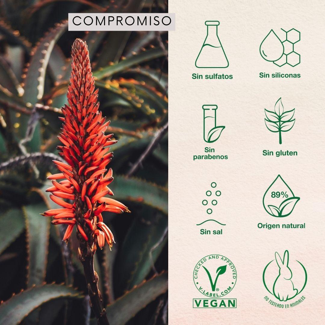 Shampoo + Acondicionador Cañamo 350ml Naturaloe-3