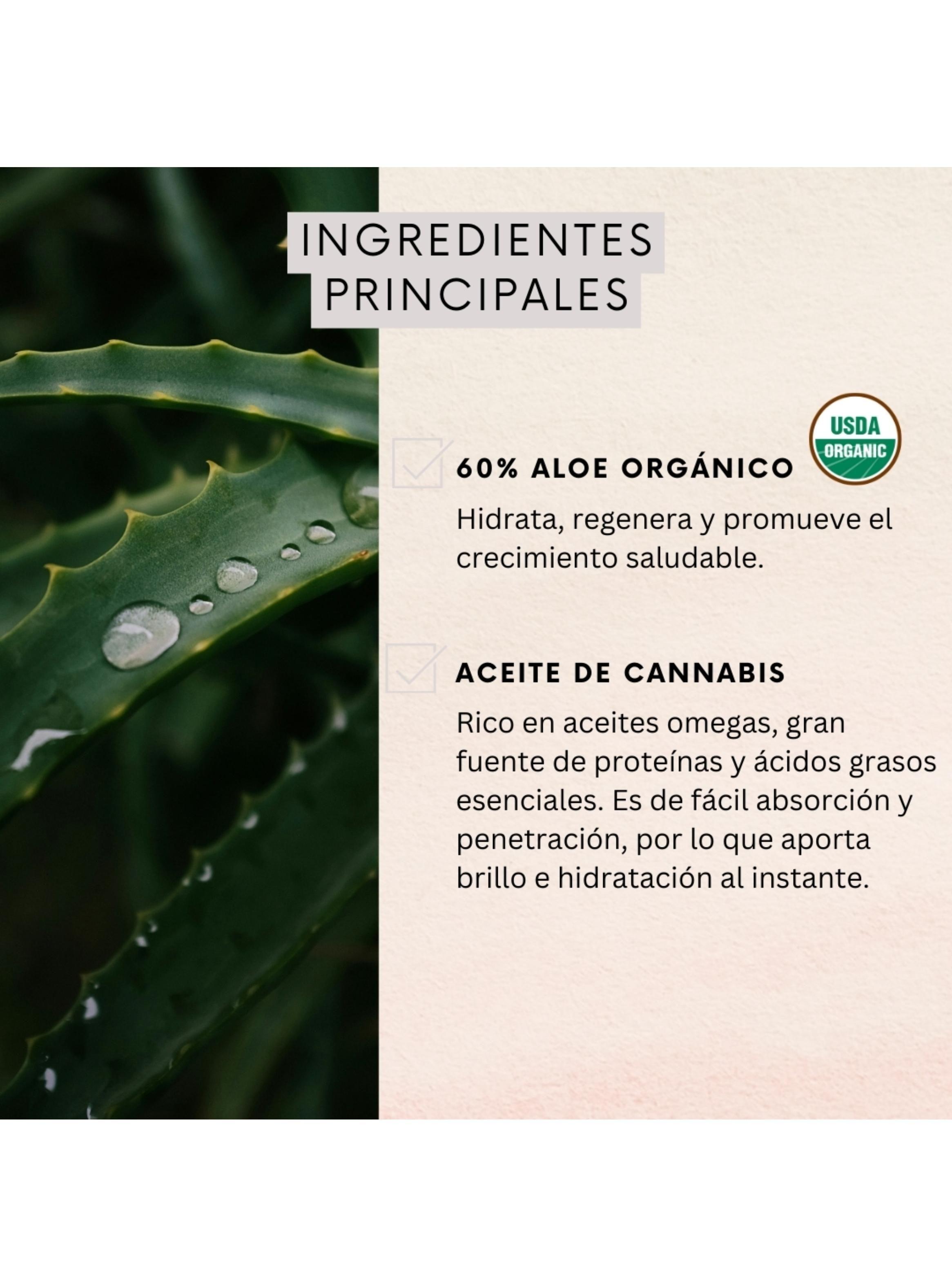 Shampoo Naturaloe Aceite de Cañamo 350ml-2