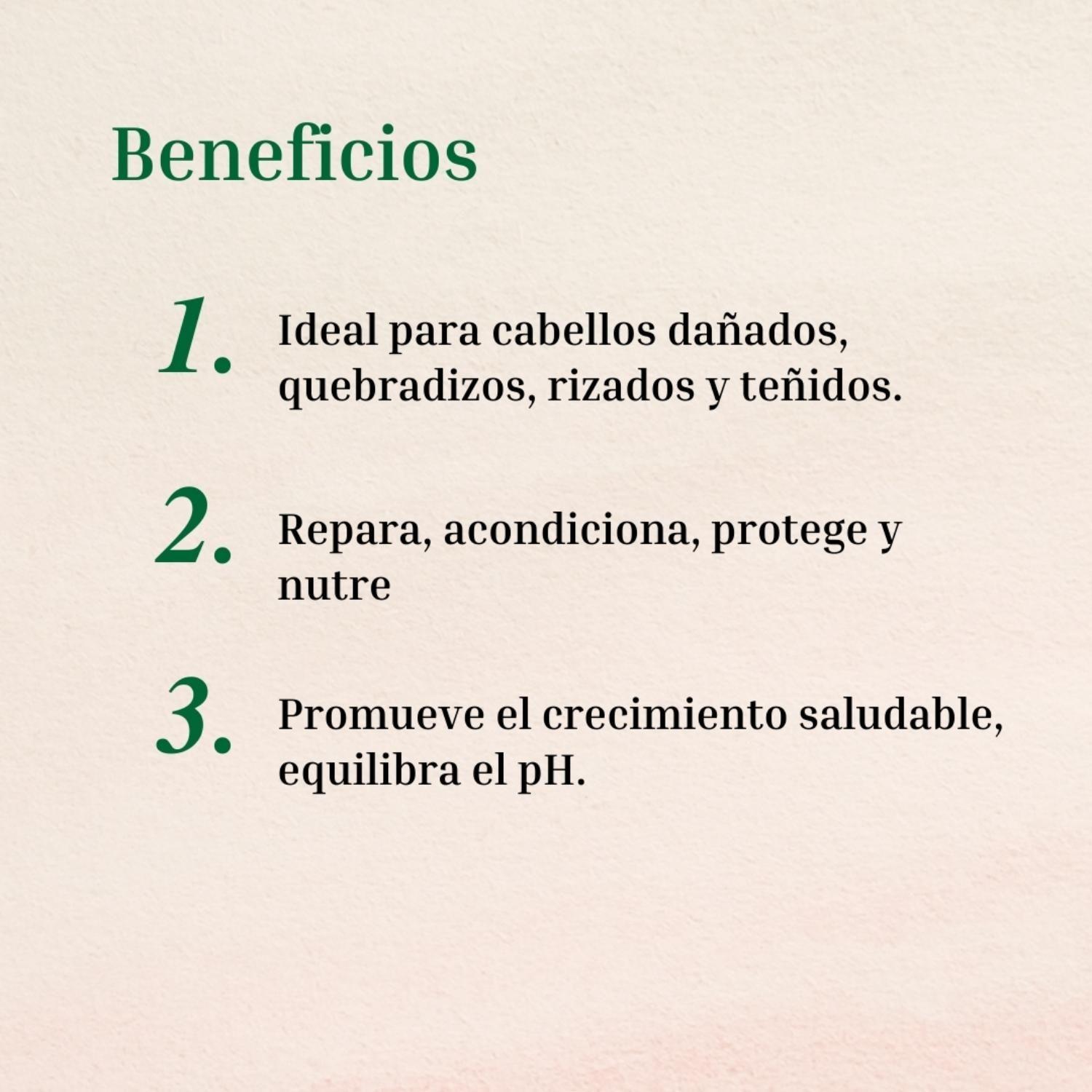 Shampoo Sólido Naturaloe Reparación y Protección 83gr-3