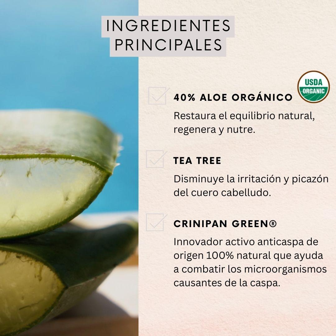 Acondicionador Anticaspa Aceite de Tea Tree Naturaloe 350 ml-2