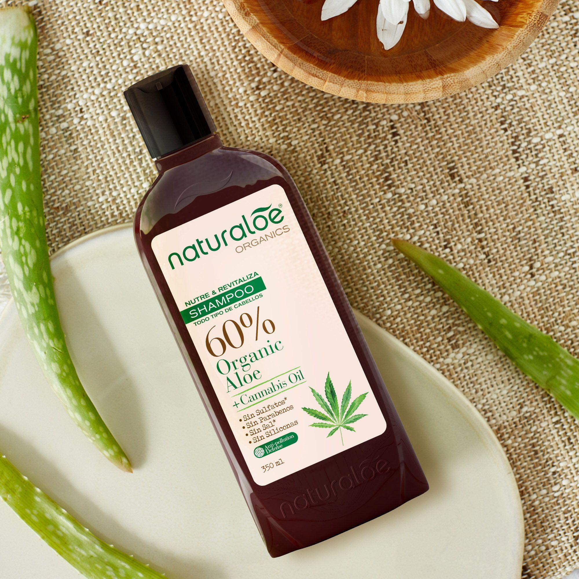 Pack 6 Shampoo Naturaloe Aceite de Cañamo 350ml-2