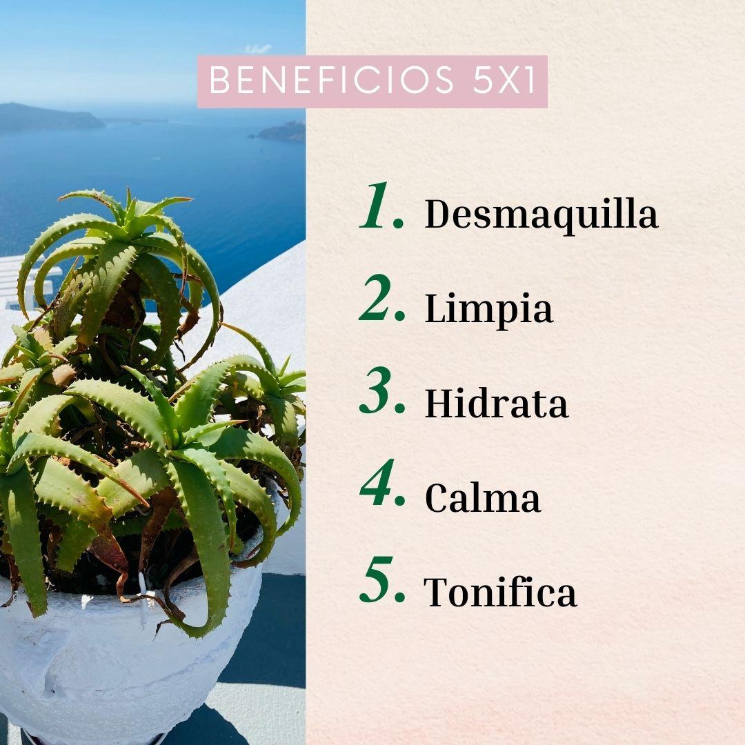 Agua Micelar Naturaloe 250ml-4