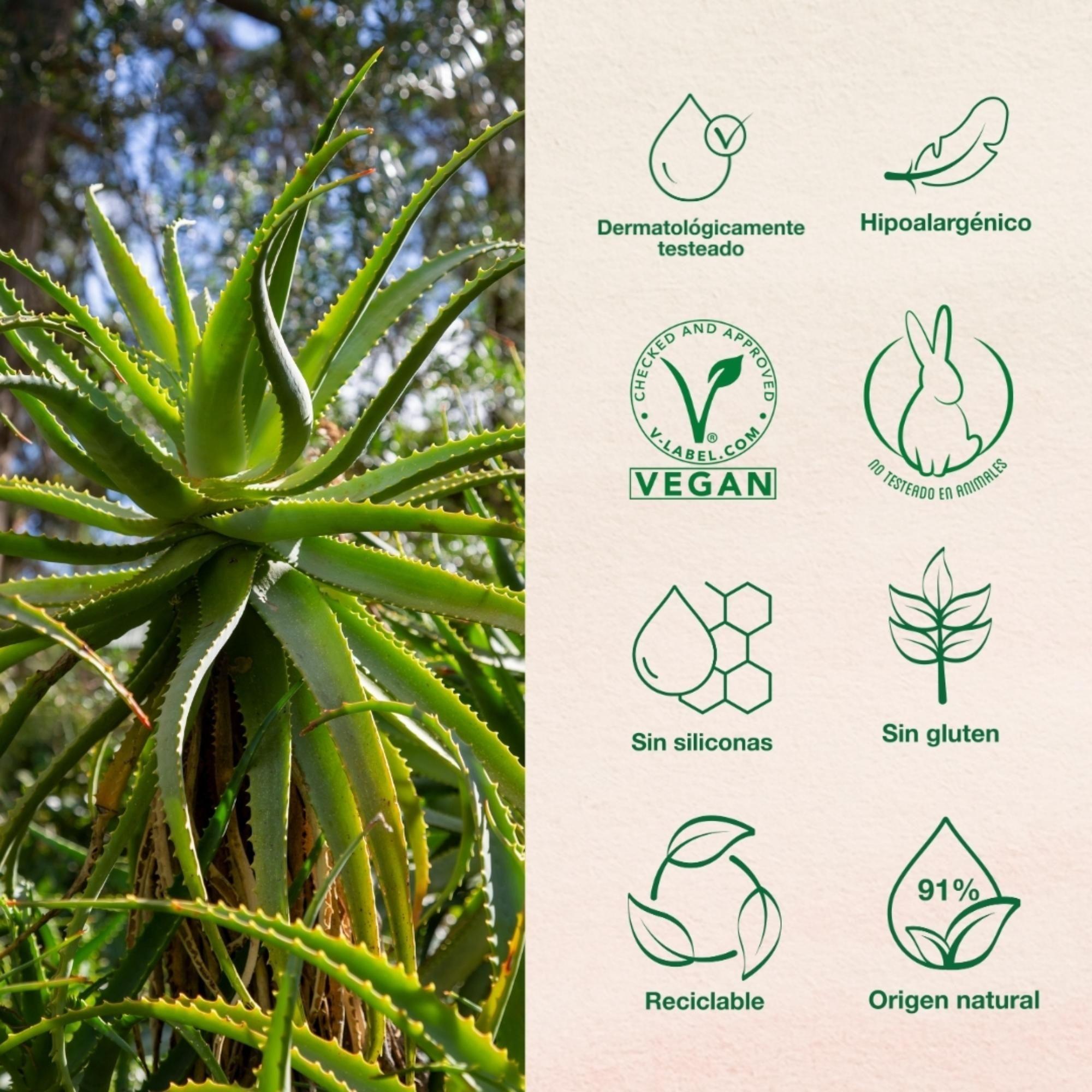 Mist Hidratante Facial Naturaloe-6