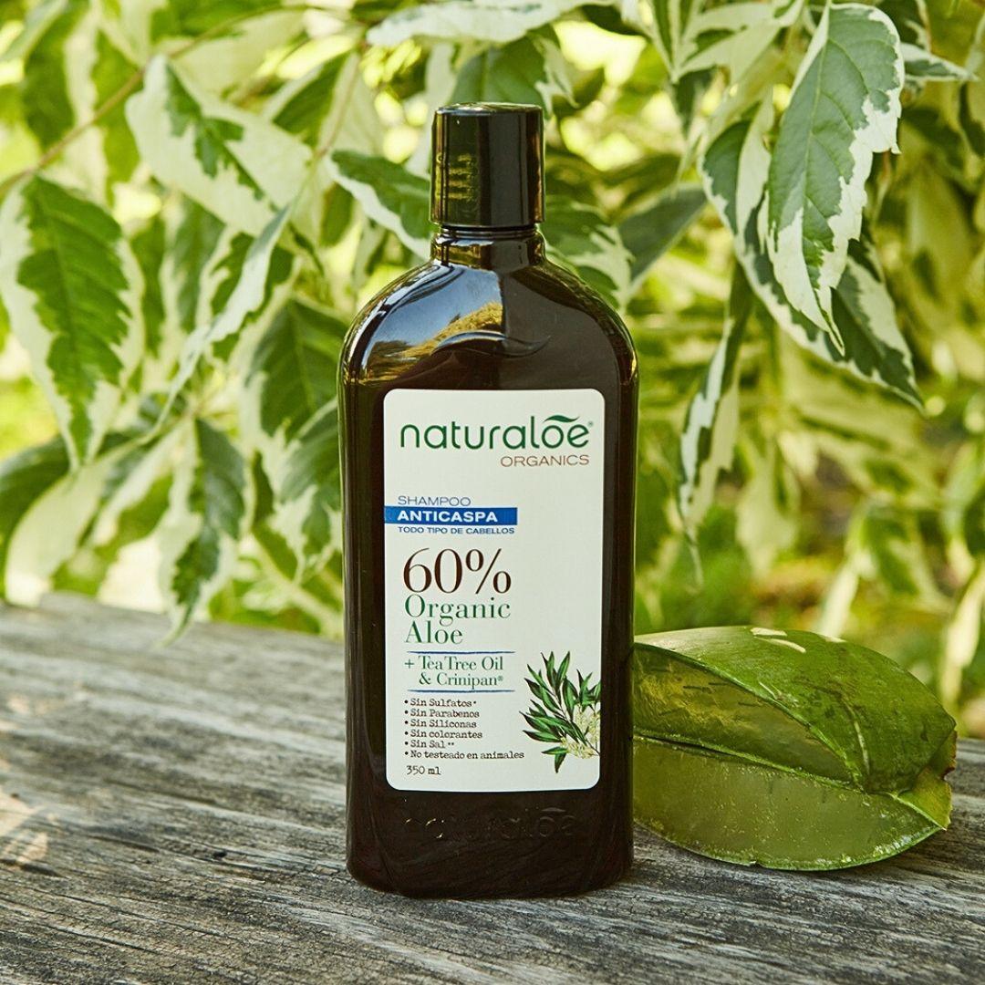 Shampoo Naturaloe Anticaspa con Aceite de Tea Tree 350 ml-1