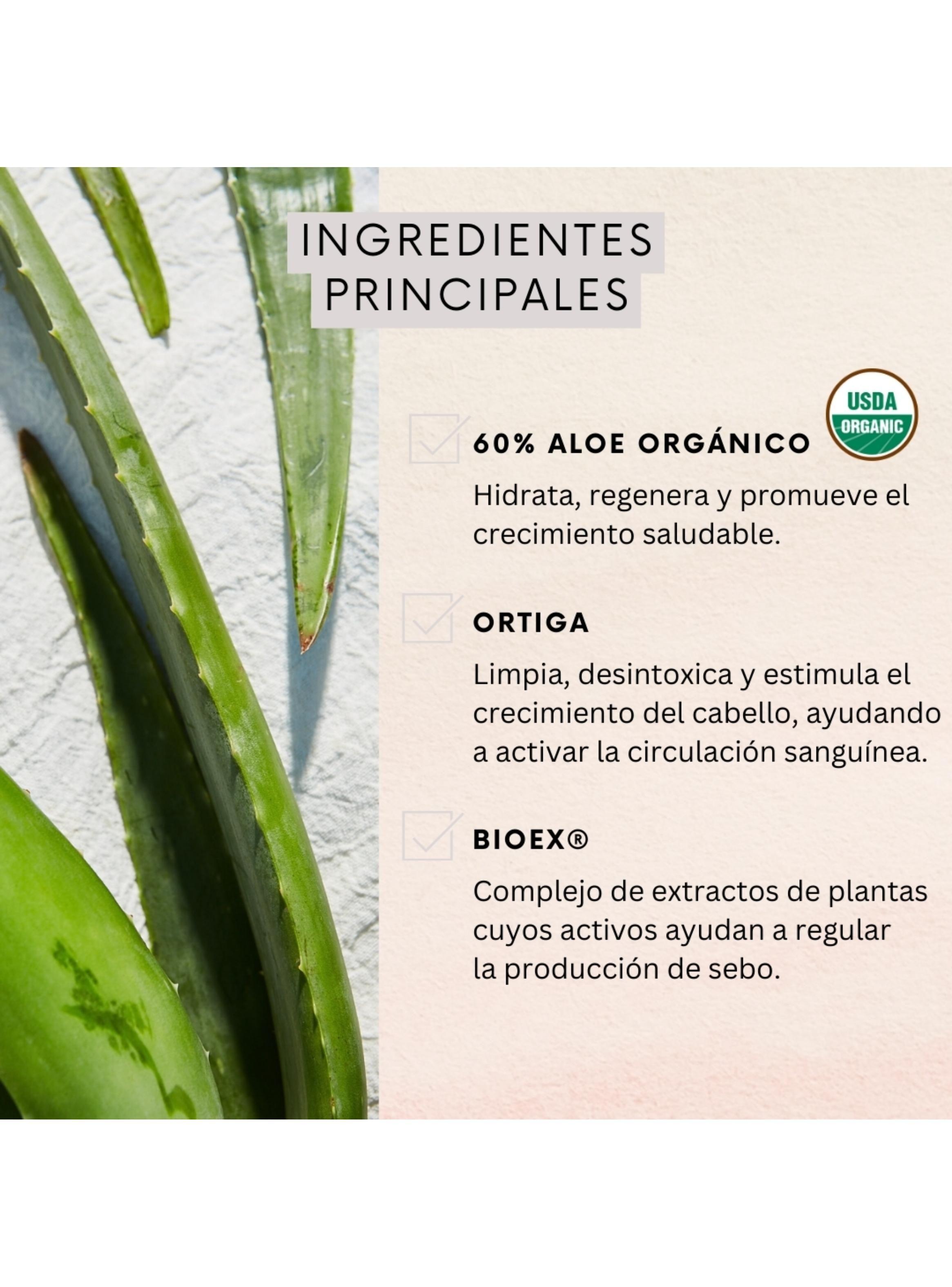 Shampoo Naturaloe Control Caída Graso 350ml-2