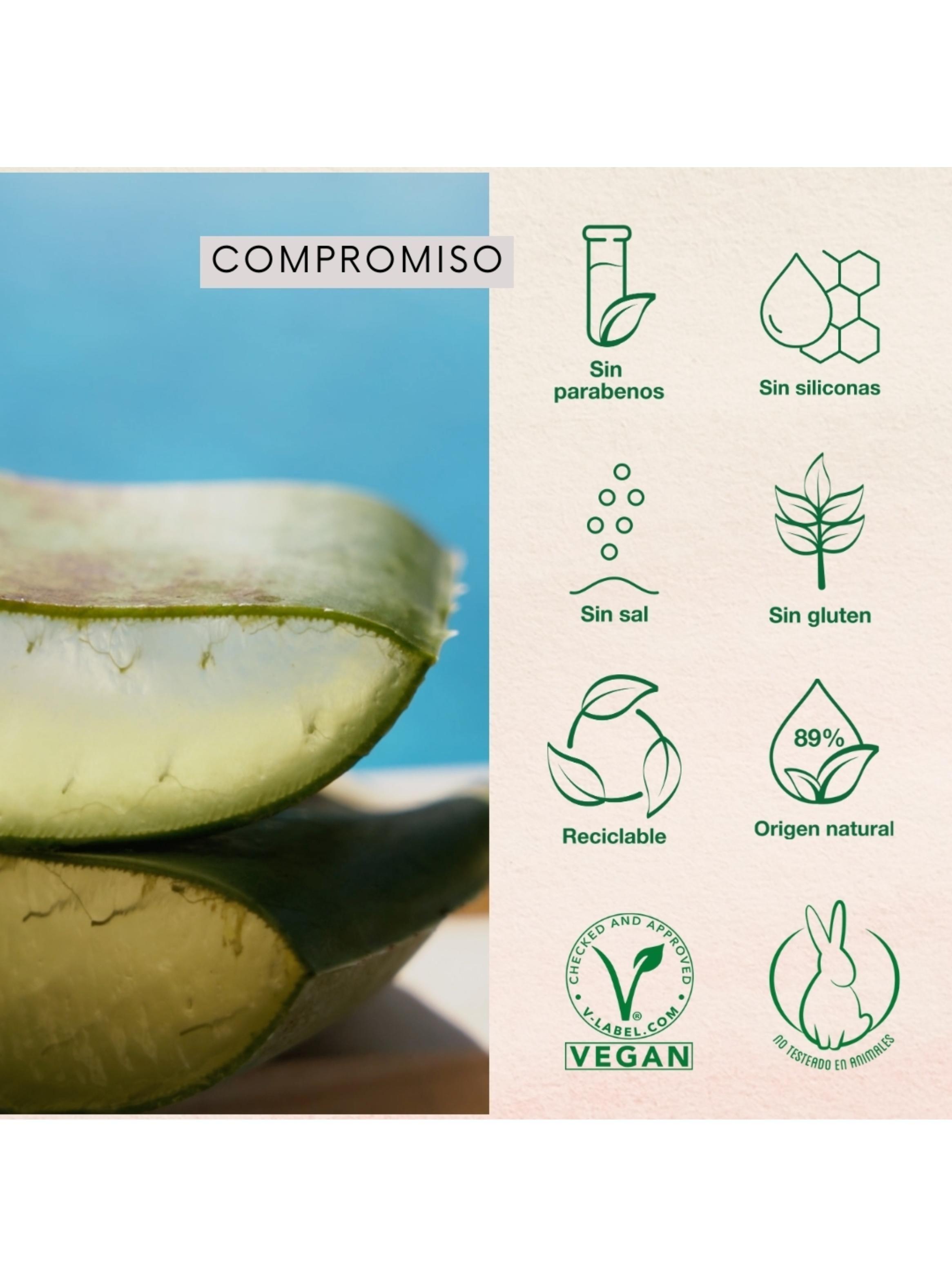 Shampoo Naturaloe Control Caída Graso 350ml-3