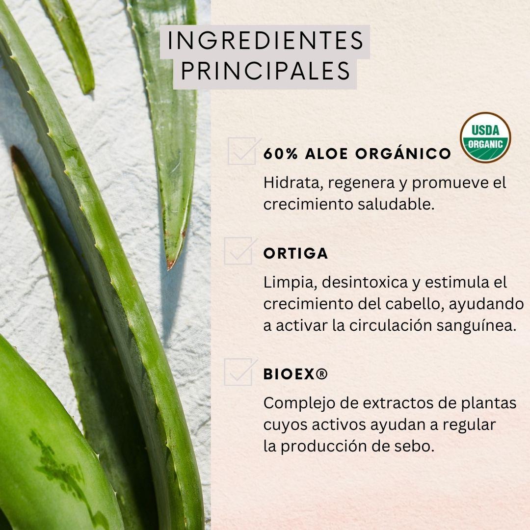 Shampoo Naturaloe Control Caída Graso 350ml-2