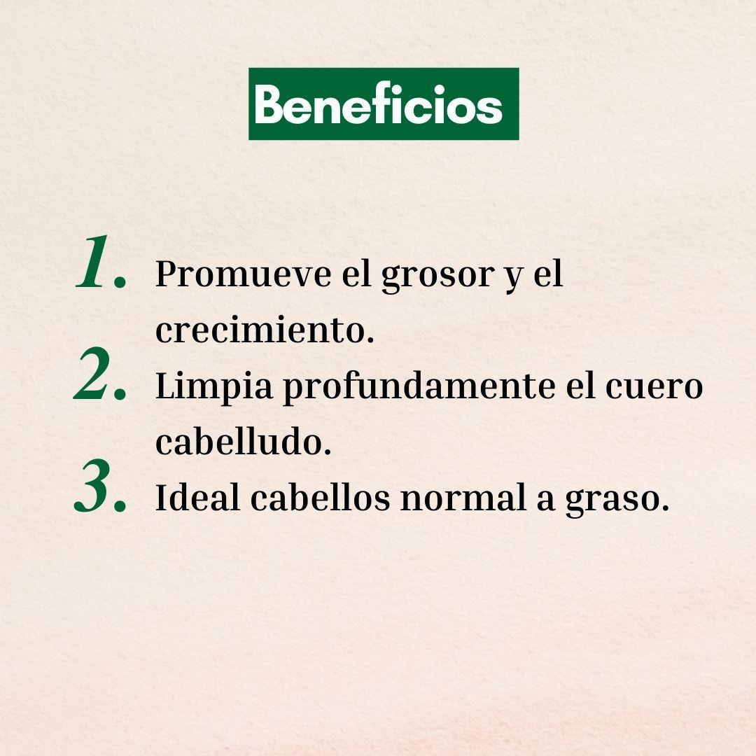 Shampoo Naturaloe Control Caída Graso 350ml-4